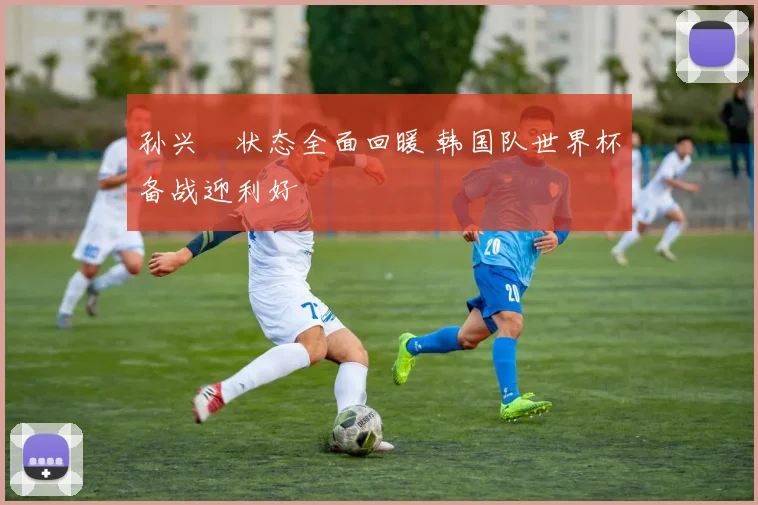 孙兴慜状态全面回暖 韩国队世界杯备战迎利好