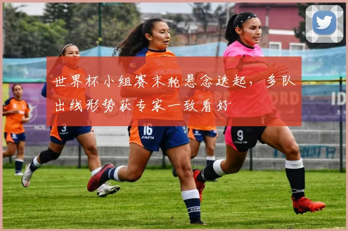 世界杯小组赛末轮悬念迭起，多队出线形势获专家一致看好