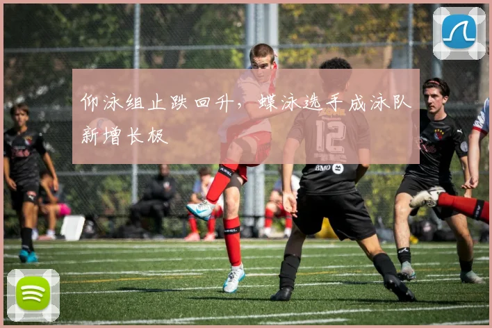 仰泳组止跌回升，蝶泳选手成泳队新增长极